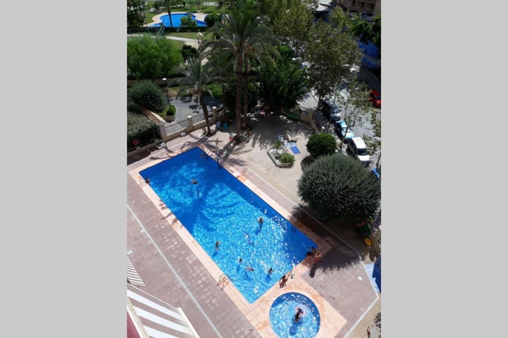 Moby Dick 7B Lägenhet Benidorm Exteriör bild